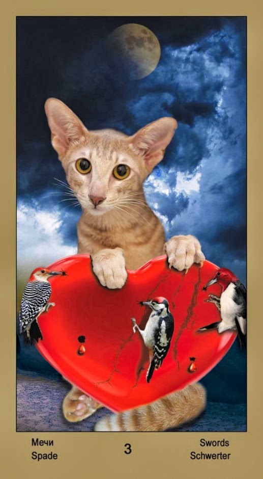 Таро Катавасия (Tarot Cat-A-Vasya)