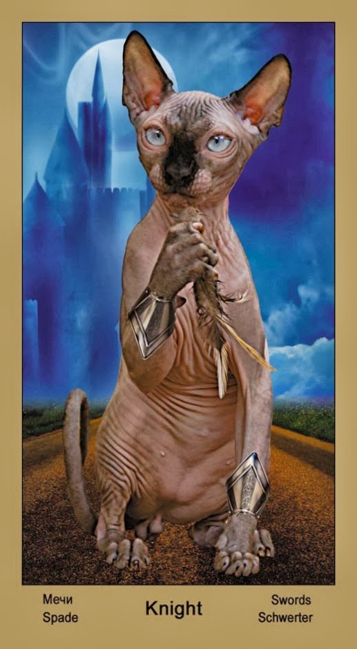 Таро Катавасия (Tarot Cat-A-Vasya)