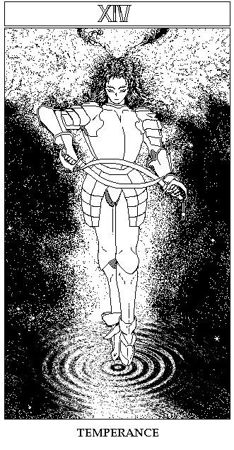 Act With Tarot by Noriyuki Sato