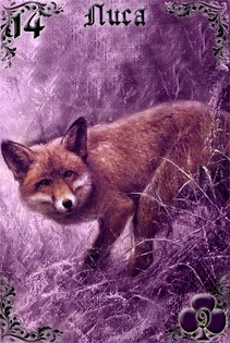 Ленорман - Лиловые сумерки от Береники