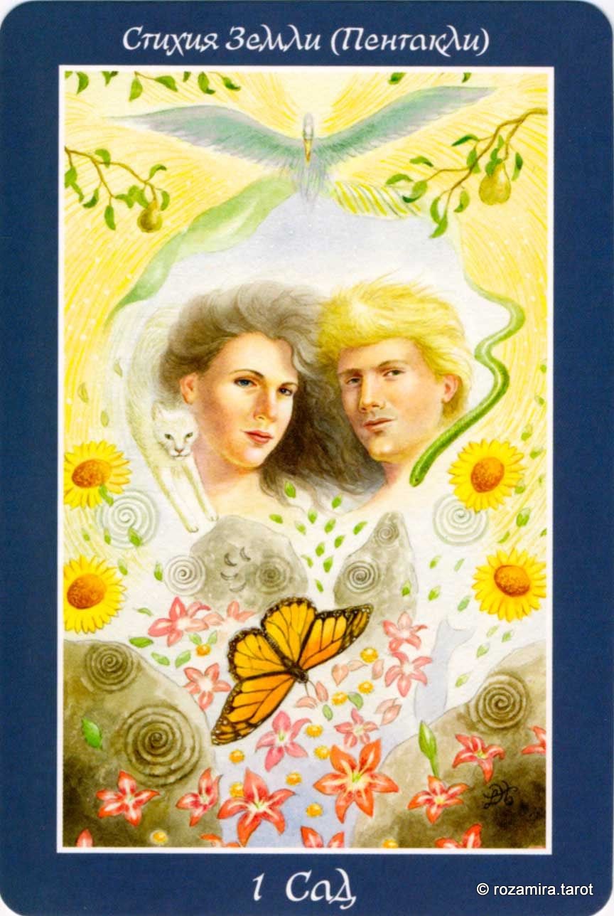 Таро изменения формы