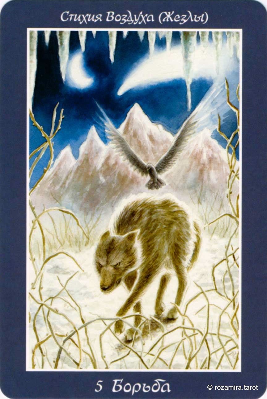 Таро изменения формы