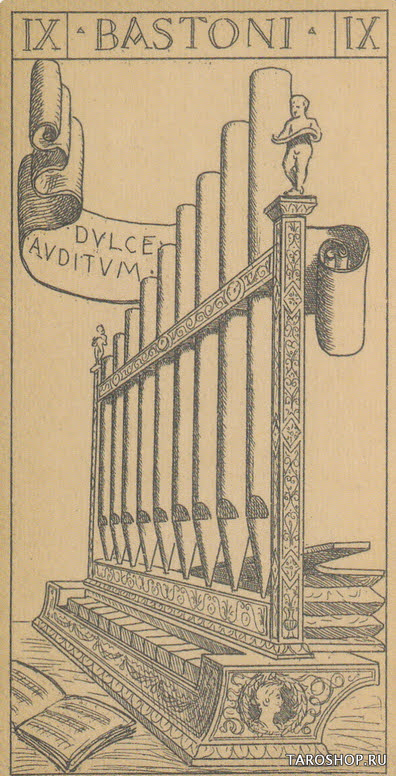 Naibi di Giovanni Vacchetta, 2021