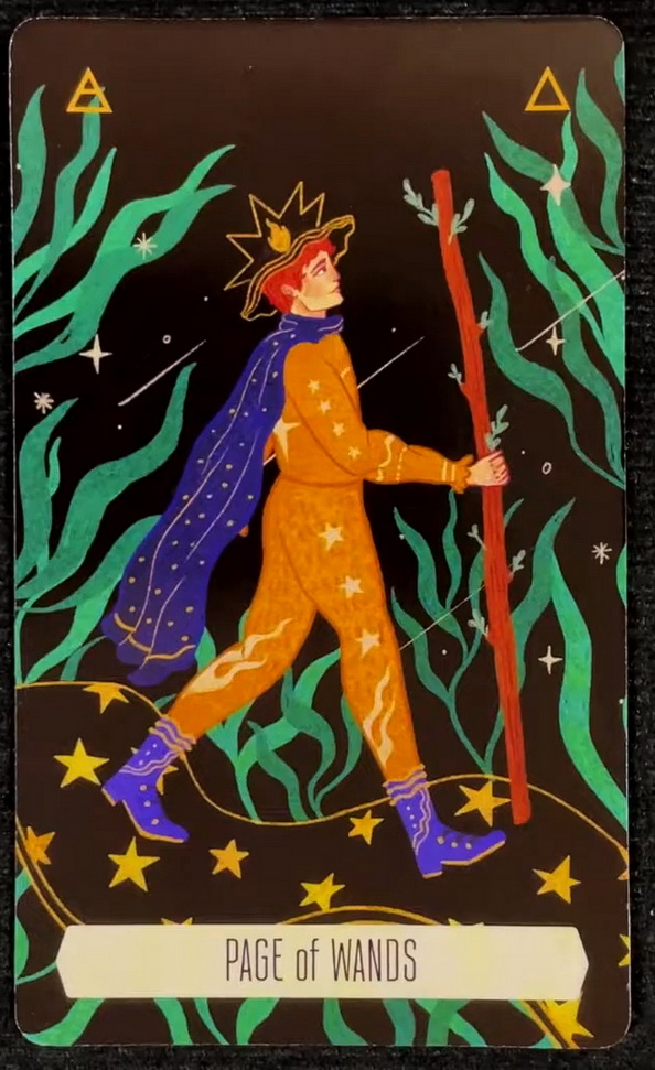 Zodiac Tarot (Cecilia Lattari)