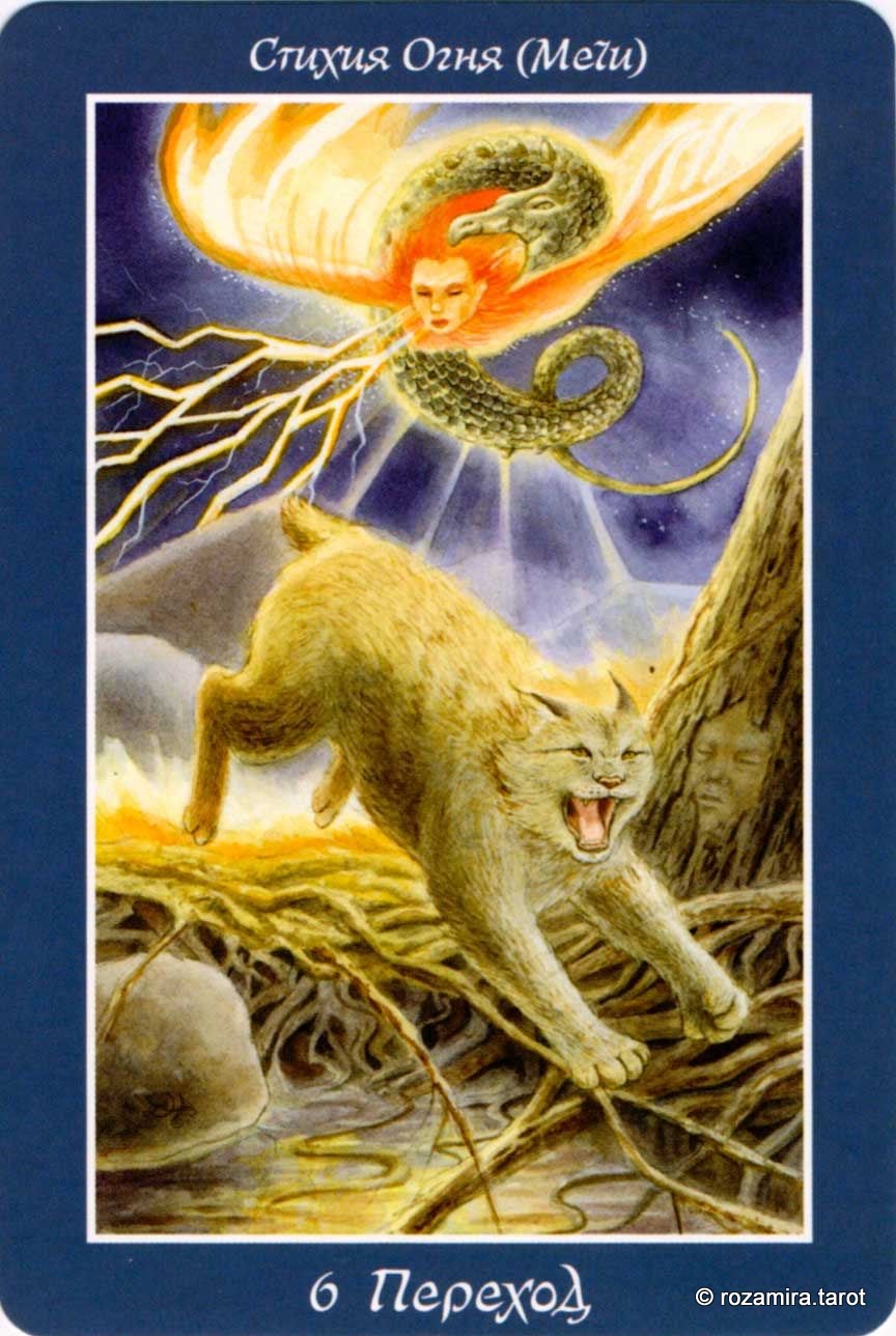 Таро изменения формы