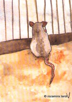 BlueDogRose Tarot by Nakisha VanderHoeven