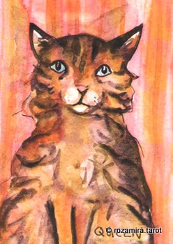 BlueDogRose Tarot by Nakisha VanderHoeven