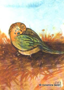 BlueDogRose Tarot by Nakisha VanderHoeven