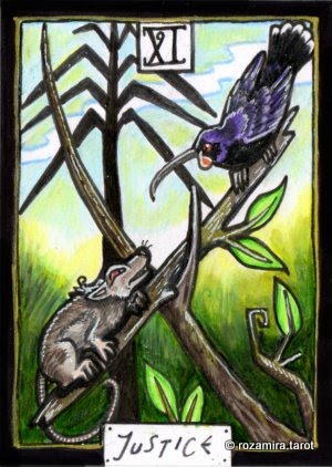 New Zealand Naturally Tarot