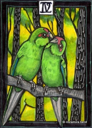 New Zealand Naturally Tarot