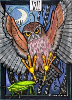 New Zealand Naturally Tarot