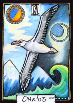 New Zealand Naturally Tarot