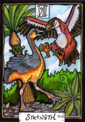 New Zealand Naturally Tarot