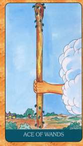 Indian Tarot Cards by B Jain