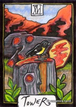 New Zealand Naturally Tarot