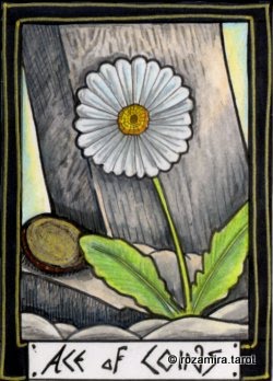 New Zealand Naturally Tarot