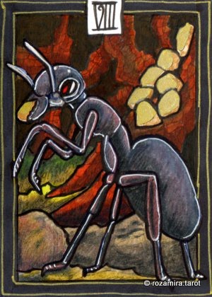 New Zealand Naturally Tarot