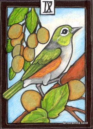 New Zealand Naturally Tarot