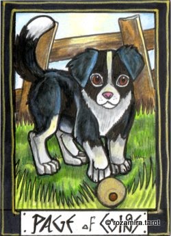 New Zealand Naturally Tarot