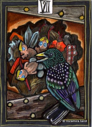 New Zealand Naturally Tarot