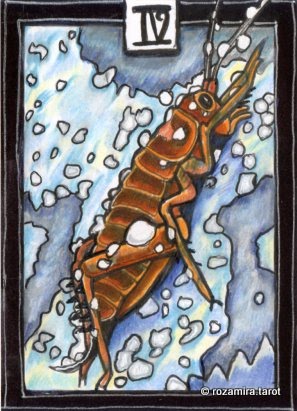 New Zealand Naturally Tarot