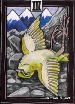 New Zealand Naturally Tarot