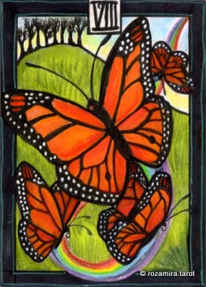 New Zealand Naturally Tarot