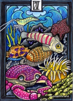 New Zealand Naturally Tarot