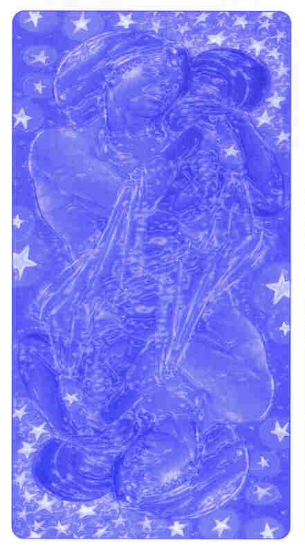 Tarot of the Spirit World