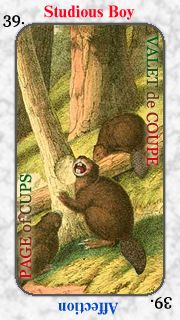 Etteilla Tarots - Apocalipse des Animaux