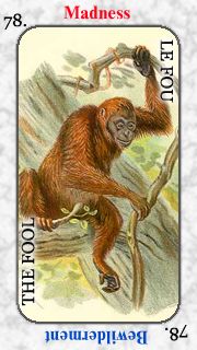 Etteilla Tarots - Apocalipse des Animaux