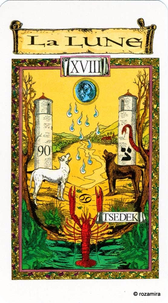 Le tarot des Templiers (Tarot of the Templars) Willy Vassaux