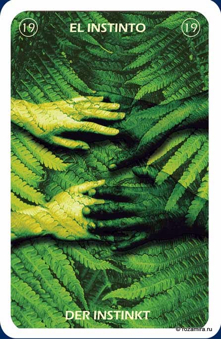 Individuum Universal Tarot