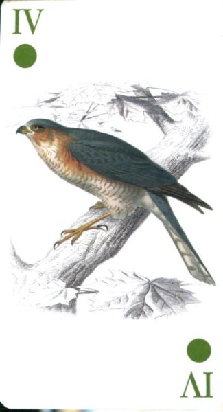 Tarot of Reincarnation