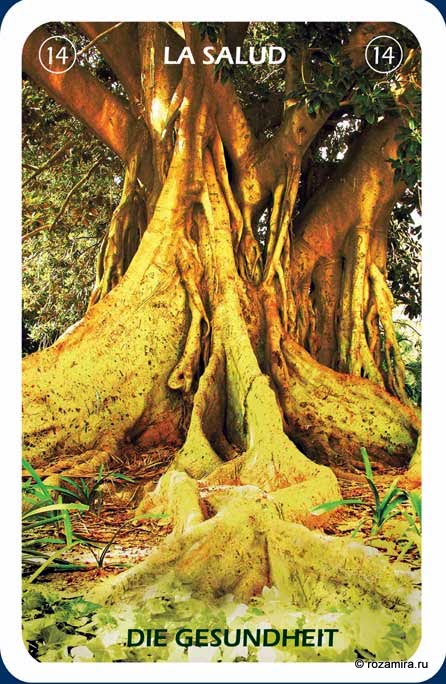 Individuum Universal Tarot