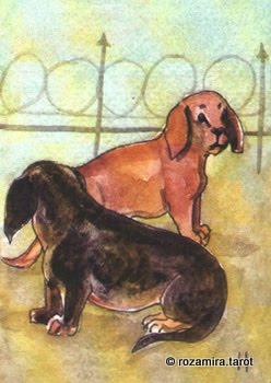 BlueDogRose Tarot by Nakisha VanderHoeven