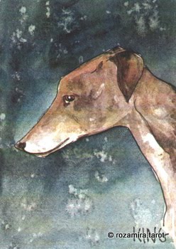 BlueDogRose Tarot by Nakisha VanderHoeven