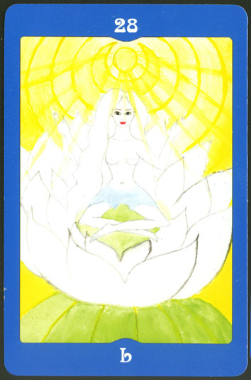 Лунные карты (Анжелика Долгополова)