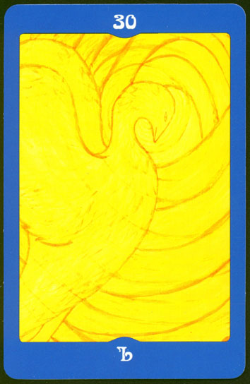 Лунные карты (Анжелика Долгополова)