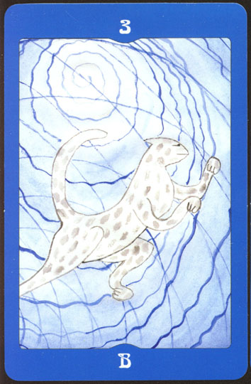 Лунные карты (Анжелика Долгополова)