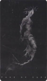 The Black Tarot By Victoria Iva