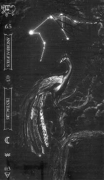 Goetia Tarot in Darkness