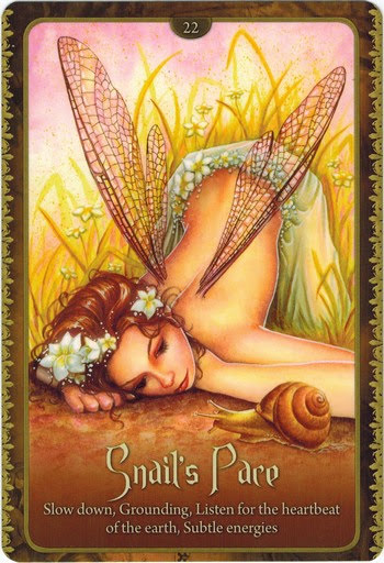 Wild Wisdom of the Faery Oracle - Оракул Дикая Мудрость Фей