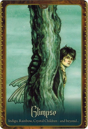 Wild Wisdom of the Faery Oracle - Оракул Дикая Мудрость Фей