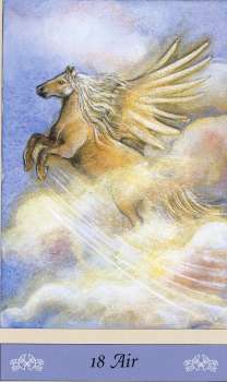 Messages from the Wee Folk