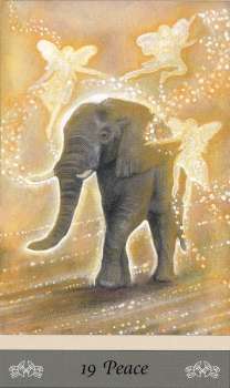 Messages from the Wee Folk