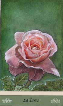 Messages from the Wee Folk