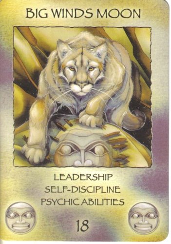 Spirit Of The Wheel Meditation Deck