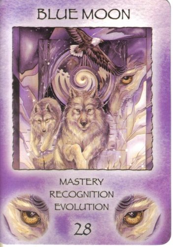 Spirit Of The Wheel Meditation Deck
