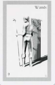 ShadowFox Tarot by Richard ShadowFox